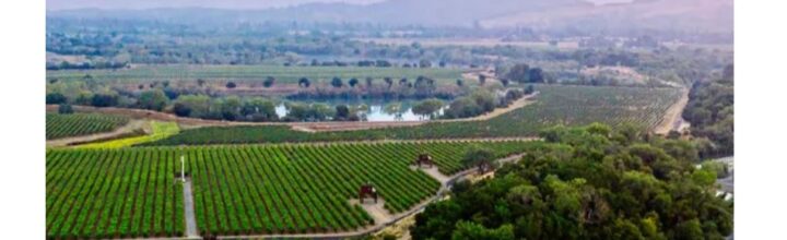 The International Wine Review – Russian River Valley