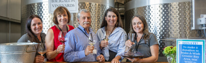 Best Wishes Profile- Bacigalupi Vineyards